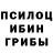 Галлюциногенные грибы мицелий sestri4ki lis