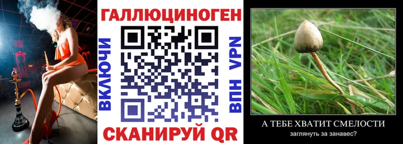 Галлюциногенные грибы Psilocybine cubensis  ОМГ ОМГ ONION  Усолье-Сибирское  закладки 